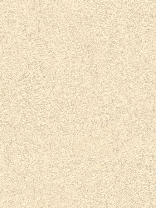 Covering meuble gamme cuir 4